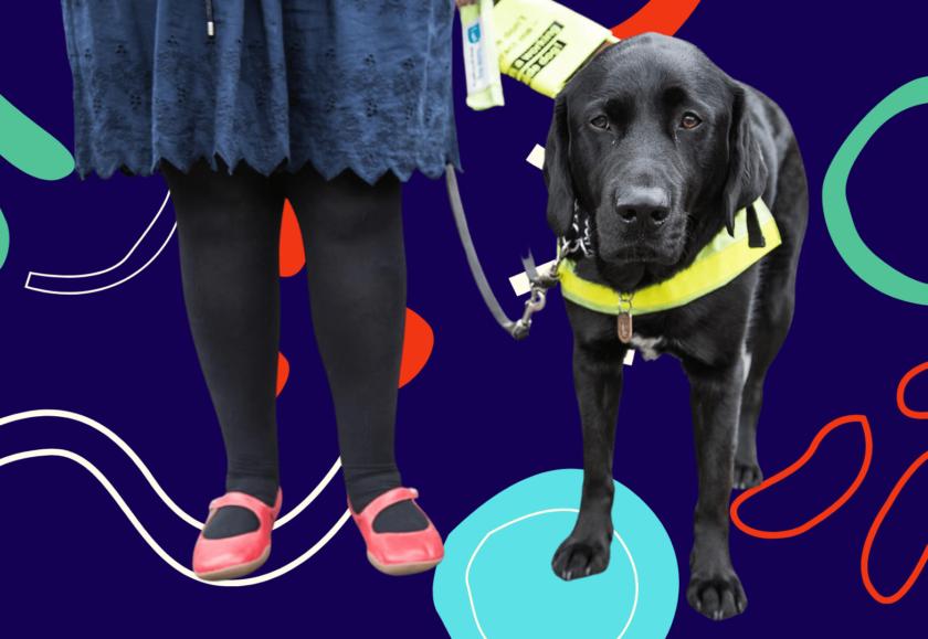 Black Labrador guide dog in harness with owner against colourful background